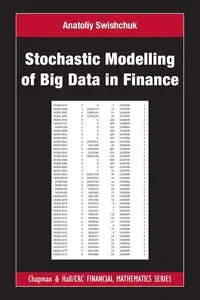 Stochastic Modelling of Big Data in Finance (Chapman and Hall/CRC Financial Mathematics Series)