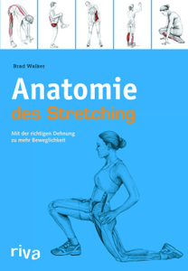 Anatomie des Stretchings: Mit der richtigen Dehnung zu mehr Beweglichkeit