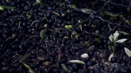 ICTV - The Olive Route (2013)