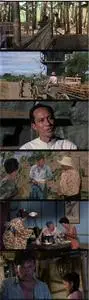 No Man Is an Island (1962)