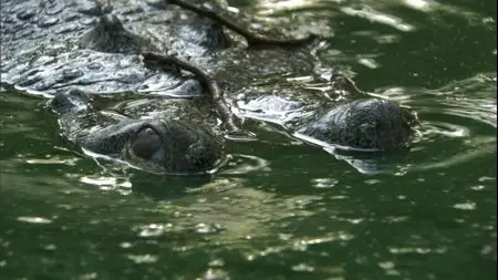 BBC - Ganges