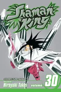 Shaman King v30 (2010)