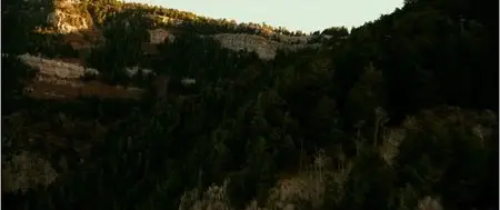 Lone Survivor (2013)