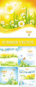Summer Backgrounds & Banners Vector