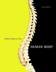 A Brief Atlas of the Human Body ( 2nd edition) (repost)