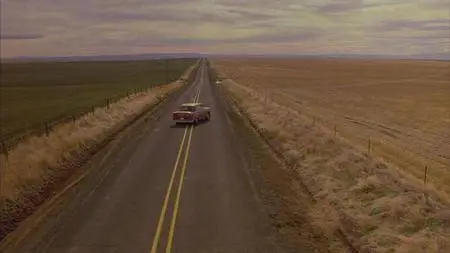 My Own Private Idaho (1991) [Criterion Collection]