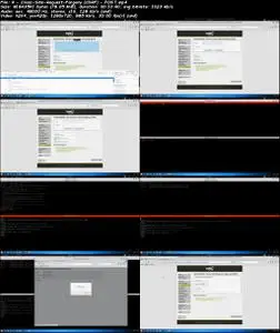 Hacking The Web - Ethical Web Hacking für Einsteiger