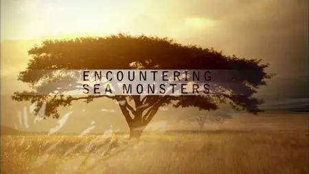 PBS - Nature: Encountering Sea Monsters (2005)
