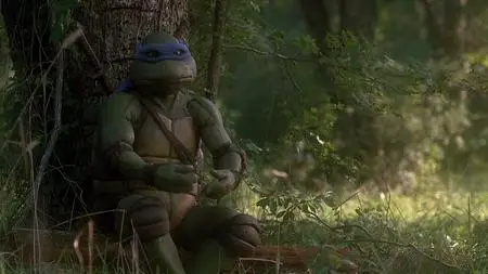 Teenage Mutant Ninja Turtles (1990)