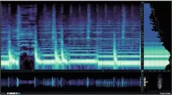 Excite Audio VISION 4X v1.2.0 (Win/macOS)