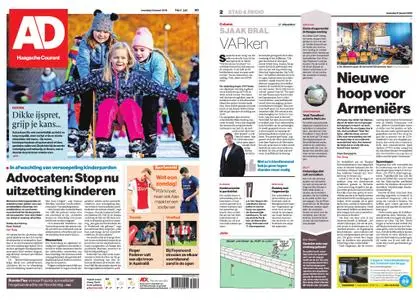 Algemeen Dagblad - Delft – 21 januari 2019