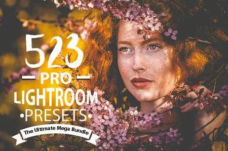 CreativeMarket - Premium Lightroom Preset Collections