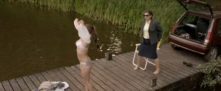 Borgman (2013)