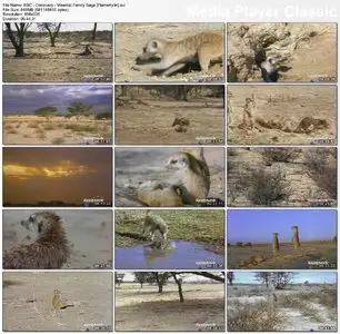 BBC - Discovery: Meerkat Family Saga (1997)