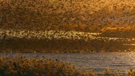 BBC - South Korea: Earth's Hidden Wilderness (2018)