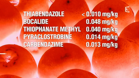 (France 3) Manger peut-il nuire à la santé ? (2011)