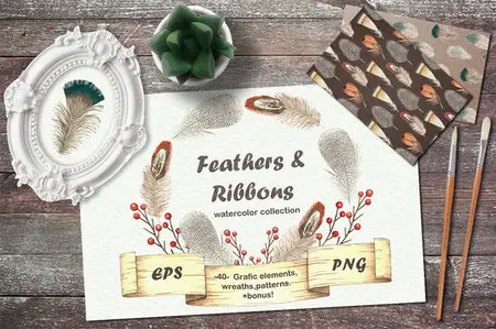 CreativeMarket - Feathers and Ribbons