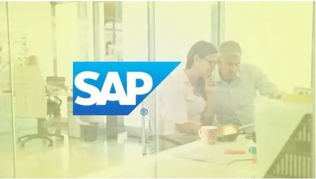 Vendor Master and Material Master Customization in SAP MM