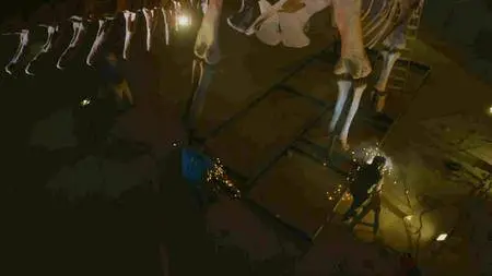 BBC - Attenborough and the Giant Dinosaur (2016)