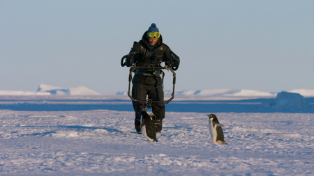 Penguins: Life on the Edge (2020)