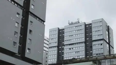 Dispossession: The Great Social Housing Swindle (2017)