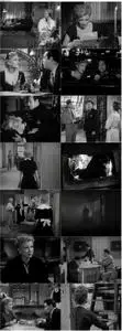 The Blue Gardenia (1953)