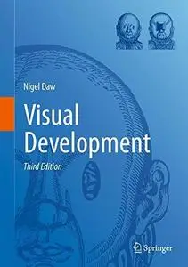 Visual Development (Repost)
