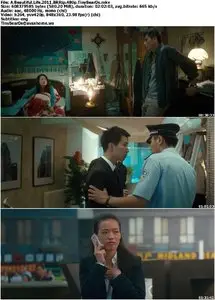 A Beautiful Life (2011) [Reuploaded]