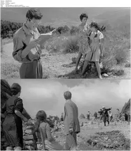 Two Women (1960)