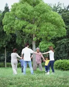 Mixa Vol. 160 Three Generations