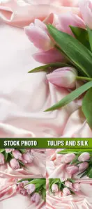 Stock Photo - Tulips and Silk
