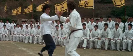 Enter the Dragon (1973)