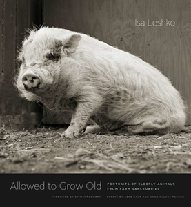 Allowed to Grow Old : Portraits of Elderly Animals From Farm Sanctuaries