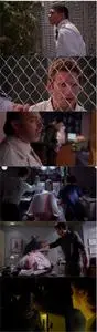 Pro-Life (2006)
