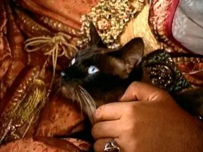 Satyajit Ray-Shatranj Ke Khilari ('The Chess Players') (1977)