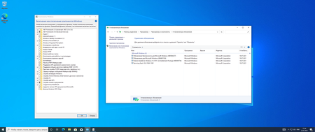 Windows 10 version 21H1 Build 19043.1110 Business & Consumer Editions
