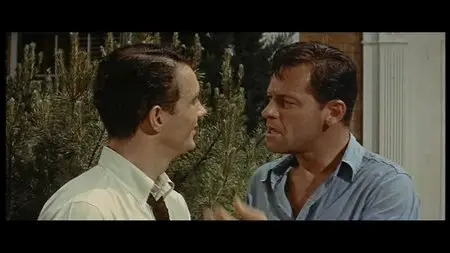 Picnic (1955)