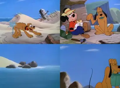 Disney Short Films: 463 Movies (1925-2006)
