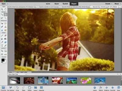 Adobe Photoshop Elements 14.0 Multilingual Mac OS X