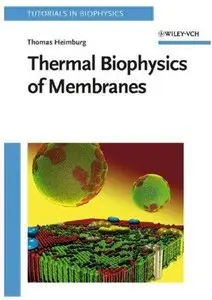 Thermal Biophysics of Membranes