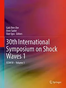 30th International Symposium on Shock Waves 1 ISSW30 - Volume 1 (Repost)