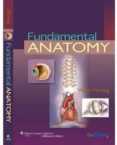 Fundamental Anatomy [Repost]