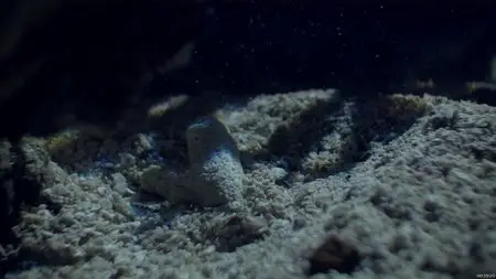 Great Barrier Reef (2012)