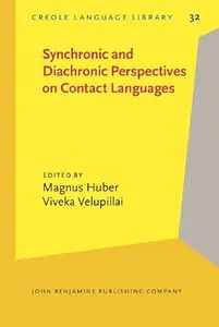 Synchronic and Diachronic Perspectives on Contact Languages