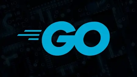 Learn Go Fast: Go For Experienced Devs