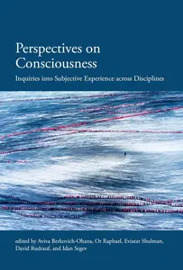 Perspectives on Consciousness: Inquiries into Subjective Experience across Disciplines