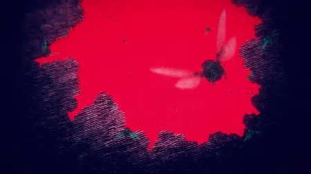 The Summer Hikaru Died S01E03 Denial