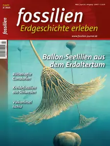Fossilien - März-April 2025