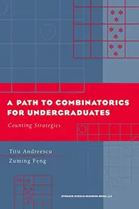 A Path to Combinatorics for Undergraduates: Counting Strategies (Repost)