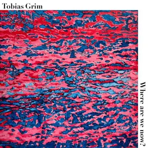 Tobias Grim - Where Are We Now? (2026) [Official Digital Download 24/96]